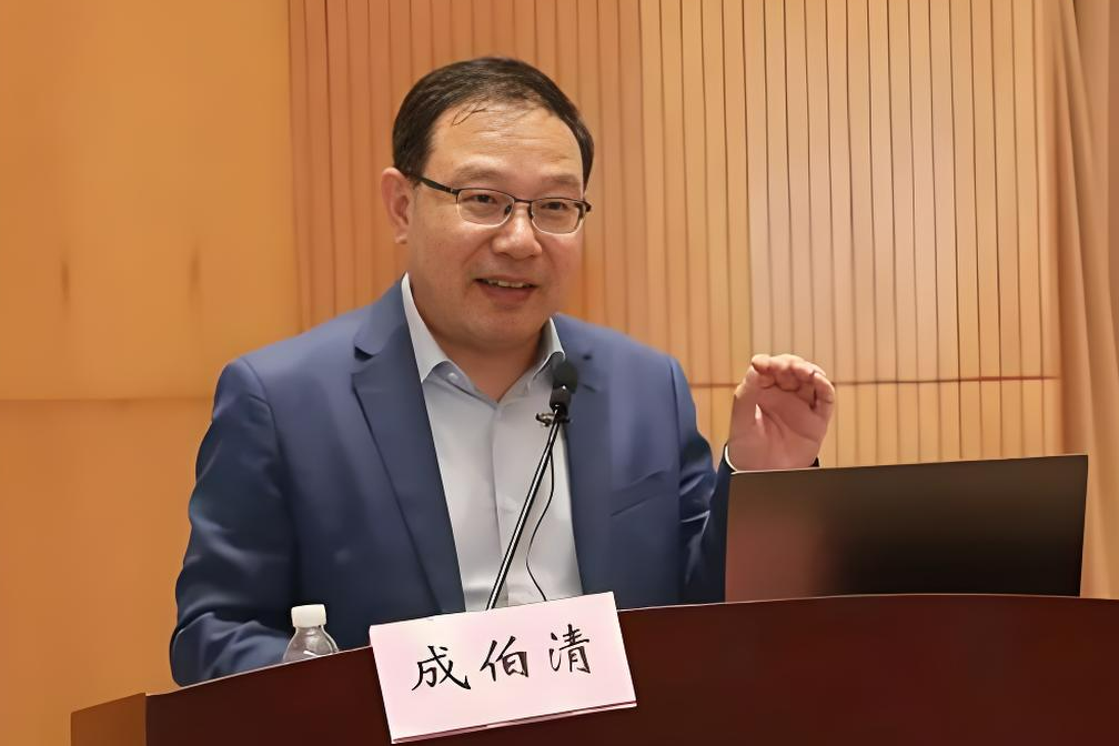 南京大学社会学院成伯清教授